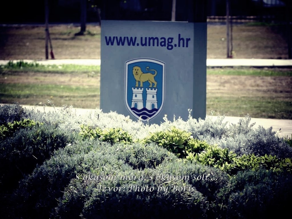 Nakon punih 11 godina konačno novi izbori za mjesne odbore u Gradu Umagu-Umago!